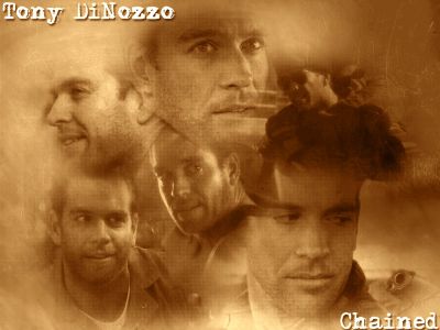 Michael Weatherly alias (An)Tony Dinozzo