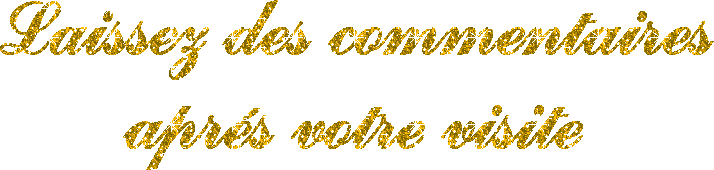 Laisses t coms!!!