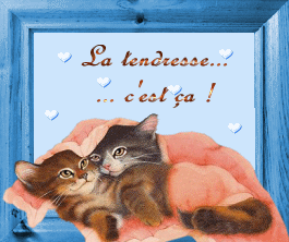 La tendresse... ... c'est ça!